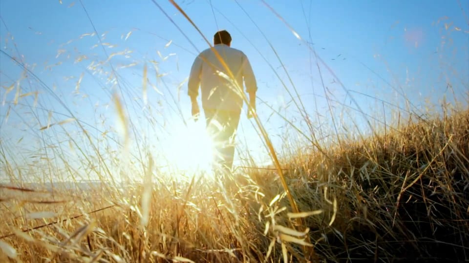 National Geographic Explorer, National Geographic, cinematography by James Peterson